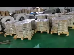 Прочность на растяжение прокладки никеля 200 толщины ASTM 3.0mm высокая video