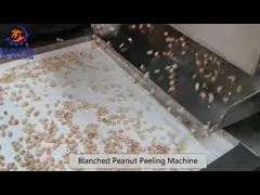 Машина для красной кожи извлекая, отбеленная машина арахиса беля шелушения арахиса video