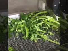 SUS304 Промышленные картофельные картофель фри Сушка на воздухе Машина для обезвоживания Сушилка для стирки фруктов Сушилка для сушки продуктов питания Сушилка для сушки овощей video