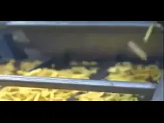Stainless Steel Frozen Fries Production Line for Increased Efficiency