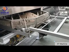 Машина жарки фисташки гайки анакардии, покрытый дизайн Роастер арахиса разумный video