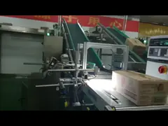 Food Visual Inspection Machine With Paging Feeder Digital