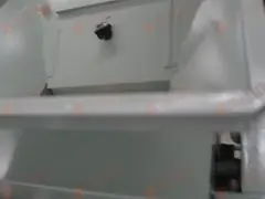 Compact Structure Peanut Processing Machine Palm Kernel Cracking Machine