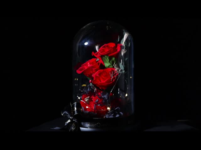 Gifts For Lovers Hot Sell Eternal Roses Preserved Flowers On Valentine'S Day Gifts For Christmas And Mother'S Day