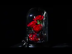 Подарки для любовников горячих продают вечные розы сохранили цветки на подарках дня Валентайн на рождество и День матери video