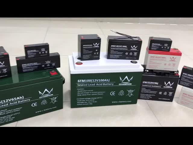 EPS Emergency Lighting Gel Motorcycle Battery F250 Terminal