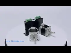 0.8A Nema 8 0.036N.M 20mm Bipolar Stepper Motor