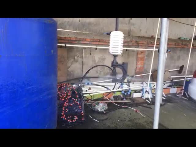 Garden 120l/H 5m Radius Micro Spray Sprinkler With Stake