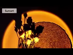 провод лампы ухода за больным 150cm СИД лампы захода солнца СИД 6W Rgb удаленный video