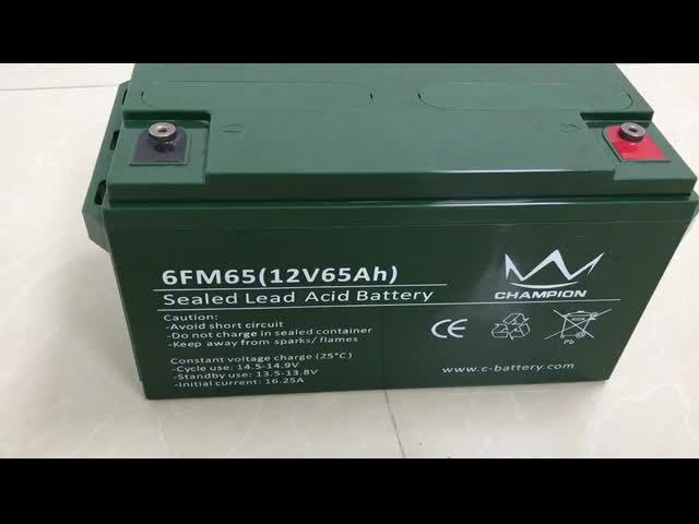 Deep Cycle Sealed 12v65ah Lead Acid Battery AGM And Gel Type For Off Grid Power