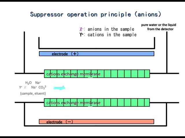 MSA Eluent CE Certified Ion Chromatography Suppressor Low Noise