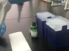 Box Packed ISO Approval 10μL Sterile Pipette Tip For Pipette