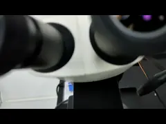 Дизайн параллельного света Тип качающейся руки Микроскоп Gem F01 Лейка S6E объектив 10X-64X video