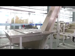 6 полость 2 - машина прессформы дуновения шага video