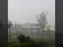 Disinfectant Fog Cannon Machine 100 Microns For Pesticide Spraying