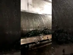 Сушильщик вакуума конуса шабера RVPD ролика Q345R роторный с dehumidifier video