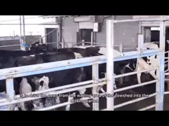 China 25L Honey Barrels Storage Bucket Grain Stainless Steel Drum Milk Barrel supplier