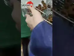 Уборщик 600W/300W коммерчески модельных Skymen ультразвуковой с Semi волновой функцией video