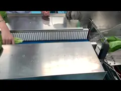 Fresh Vegetable Fruit Horizontal Flow Wrap Machine 80bag/Min