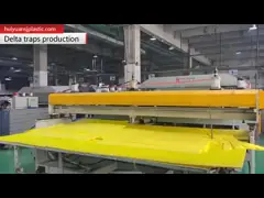 Polypropylene Plastic Packaging Boxes Hollow Structure