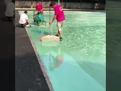 Jointless собственная личность выравнивая жидкостный пластиковый настил баскетбола суда на открытом воздухе спорт покрытия пола video