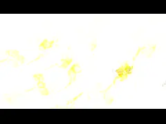 Водоустойчивый изготовленный на заказ дешевый профессионал напечатал устойчивую ленту бумаги Washi сусального золота video