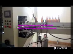 печатная машина экрана цвета 3000pcs/Hour одно полностью автоматическая для фильтра машинного масла video