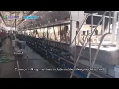 24-100 система машины коровы доя салона пункта шевронная автоматическая video