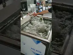 Kundengebundener Gemüsewaschmaschine 300kg/h der frucht-60Hz SUS 304