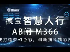0,2 турникета вокзала аэропорта секунд железнодорожных с двойным идентификацией video