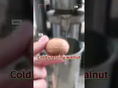 Электрическая автоматическая машина для обработки авокадо video