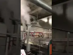 1 - Боилеры пара емкости 25 Т/Х промышленным увольнянные газом с импортированной горелкой video