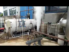 Передвижной промышленный газ/дизельный боилер пара для конкретной леча индустрии video