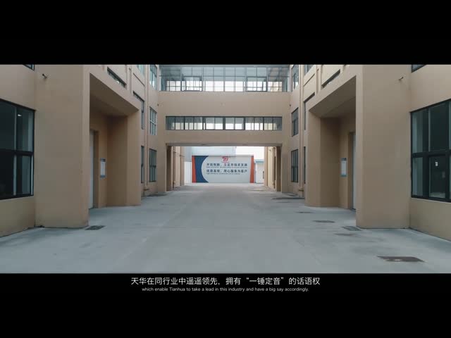 Весь тип ремень Веббинг полиэстера, ремни груза быстрого выпуска регулируемые видео