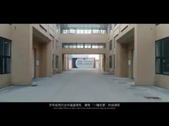 Весь тип ремень Веббинг полиэстера, ремни груза быстрого выпуска регулируемые video