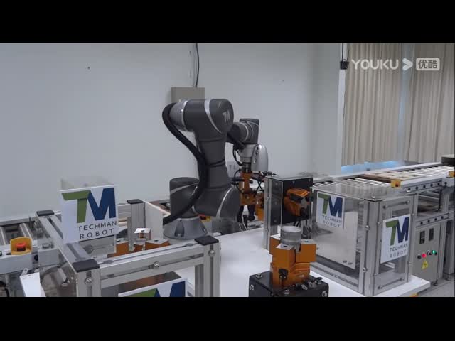 Collaborative Robotic Arm 6 Axis With Robot Gripper For Product Picking Robot As Cobot Robot video