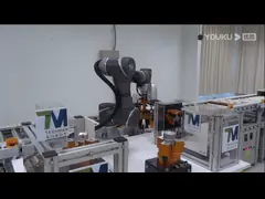 Collaborative Robotic Arm 6 Axis With Robot Gripper For Product Picking Robot As Cobot Robot video