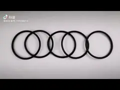 Большая часть колцеобразного уплотнения HNBR размера резиновая герметизируя отливая в форму video