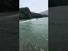 Высокая эффективность 8С ЭСК 250 Амп для мотора БЛДК с анти- раковиной корозии video