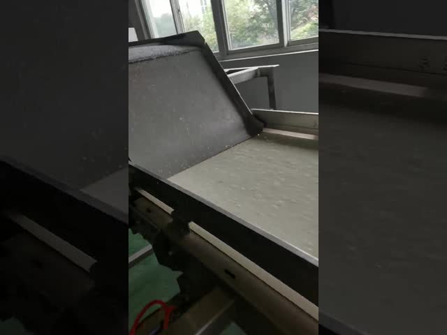 Промышленный датчик CCD сортировщицы цвета пояса паллетов пиксела 54M ультра ясный видео