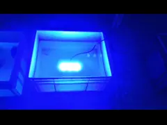 Света приведенные дока яхты шлюпки светов нержавеющей стали 120W морские подводные video