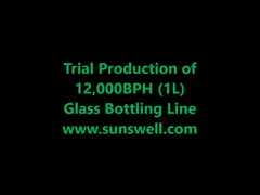 Сок пульпы SUS316 1500B/H Carbonated машина завалки напитка video