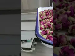 Вакуумируйте машину цвета продукта моря овоща силы тяжести сортируя video