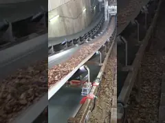 Electronic Belt Weigh Feeder Controller High Arithmetic Speed With LCD Display