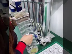 IP поднял дамы дозора кварца сплава золота водоустойчивые 28mm зацепить диапазон video