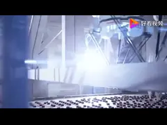 Пакуя робот IRB 1600-10/1.45 6 роботов промышленной робототехнической руки оси промышленных video