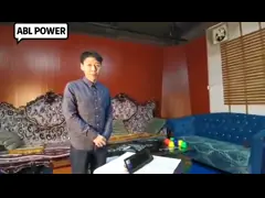 Черная AC3 активная линия модуль усилителя силы диктора массива video