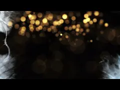 Осмоз цены обработки завода обратного осмоза воды машины очистки воды RO обратный в системе повторного пользования video