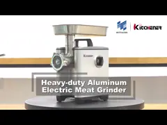 Небольшая мясорубка гамбургера для домашней пользы, #12 сверхмощного 500В семенит машину мяса электрическую video