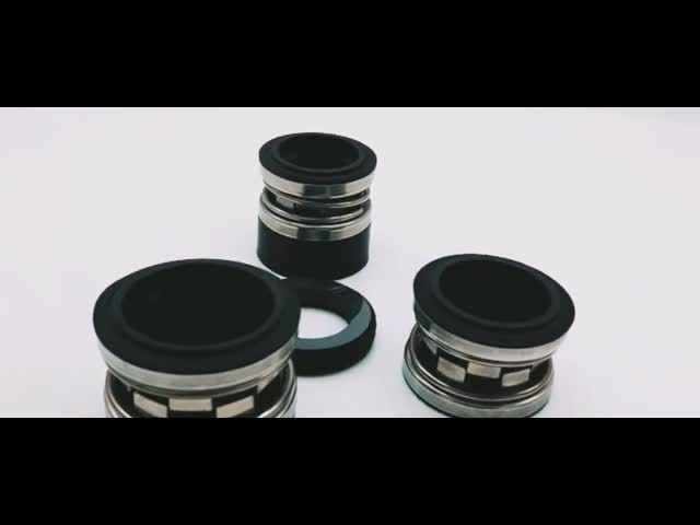 Type 2100 Rubber Bellow Seal